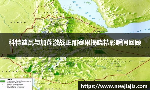 yy易游体育app